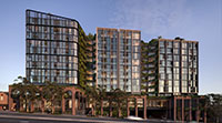 Rozelle Vision
