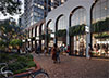 Rozelle Vision