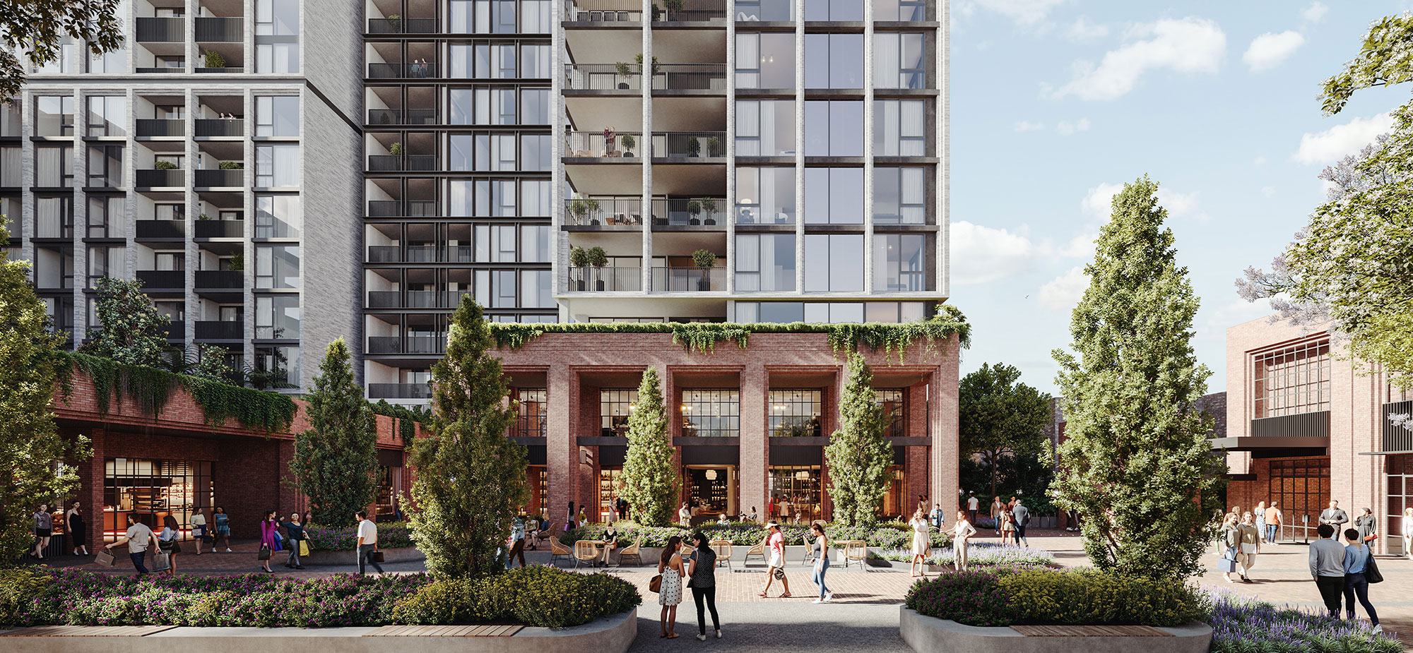 Rozelle Vision