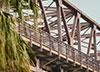 Rozelle Vision